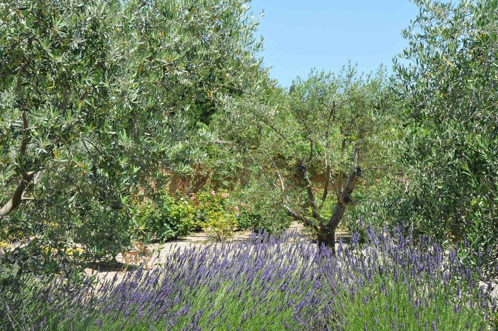 La Maison De Line Saint-Rémy-de-Provence Pokoj fotografie