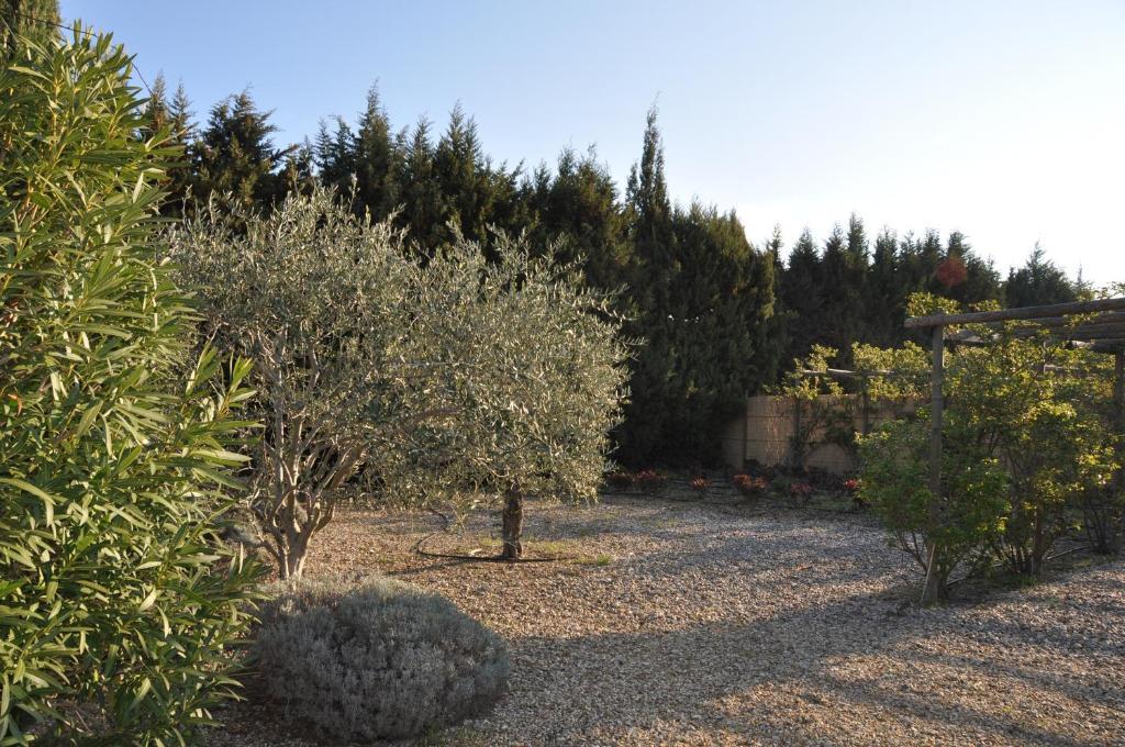 La Maison De Line Saint-Rémy-de-Provence Exteriér fotografie
