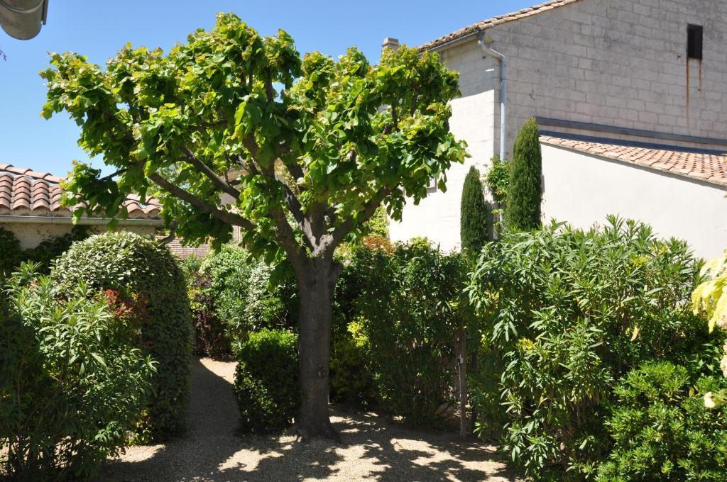 La Maison De Line Saint-Rémy-de-Provence Exteriér fotografie